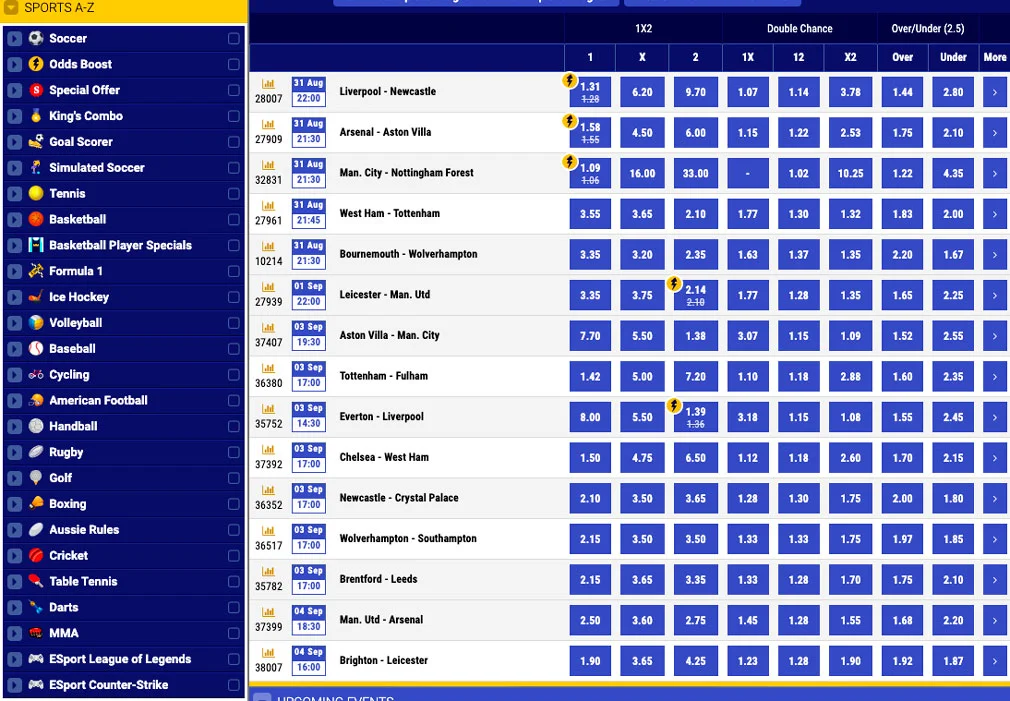 Everything You Need to Know about Betking