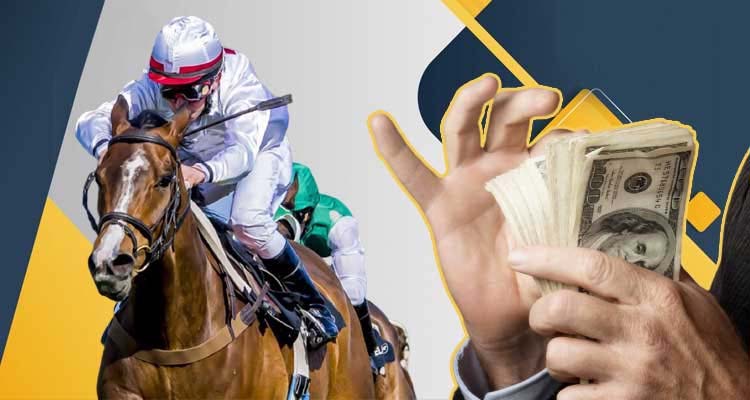 All You Need to Know About Nyra Bets and Live Betting